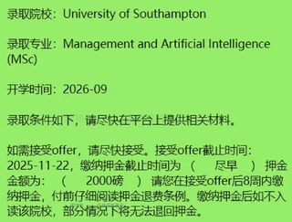 南安普顿大学 · 管理与人工智能预览