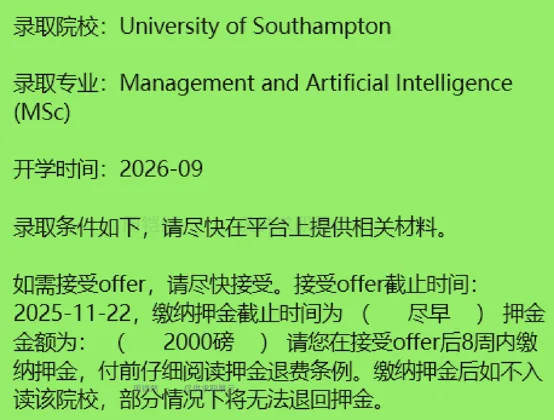 南安普顿大学 · 管理与人工智能预览